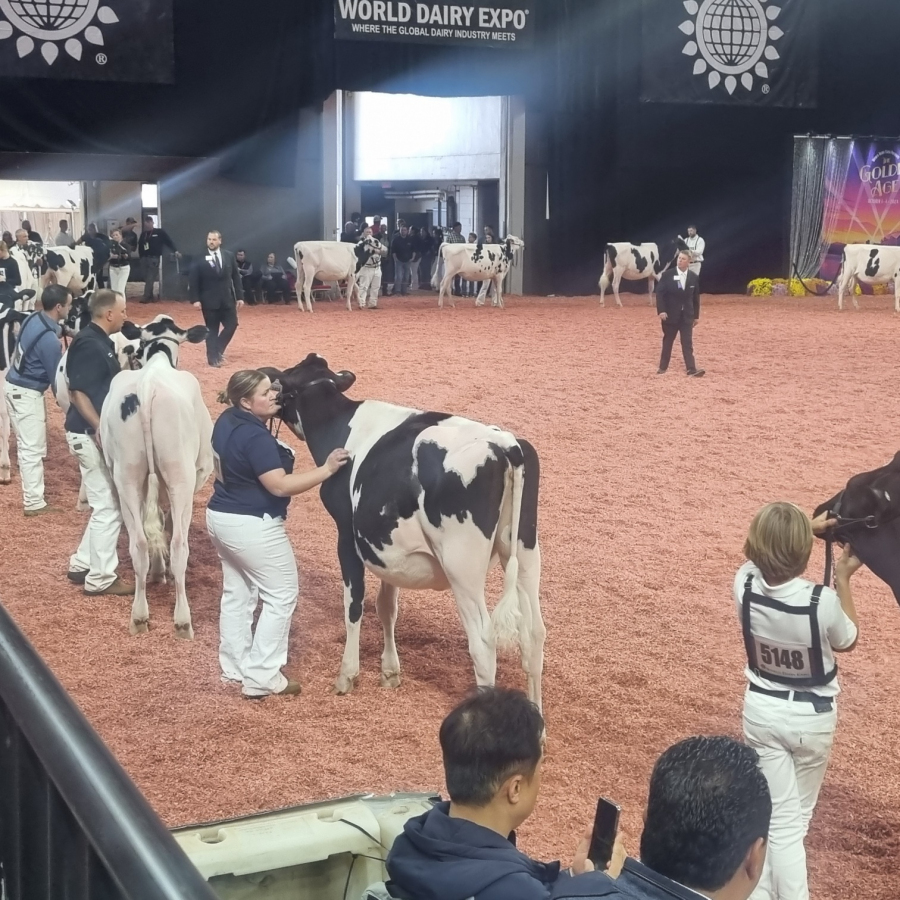 World Dairy Expo 2024